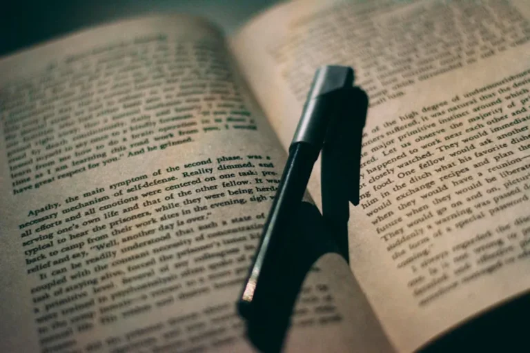 How to Write a Novel Summary