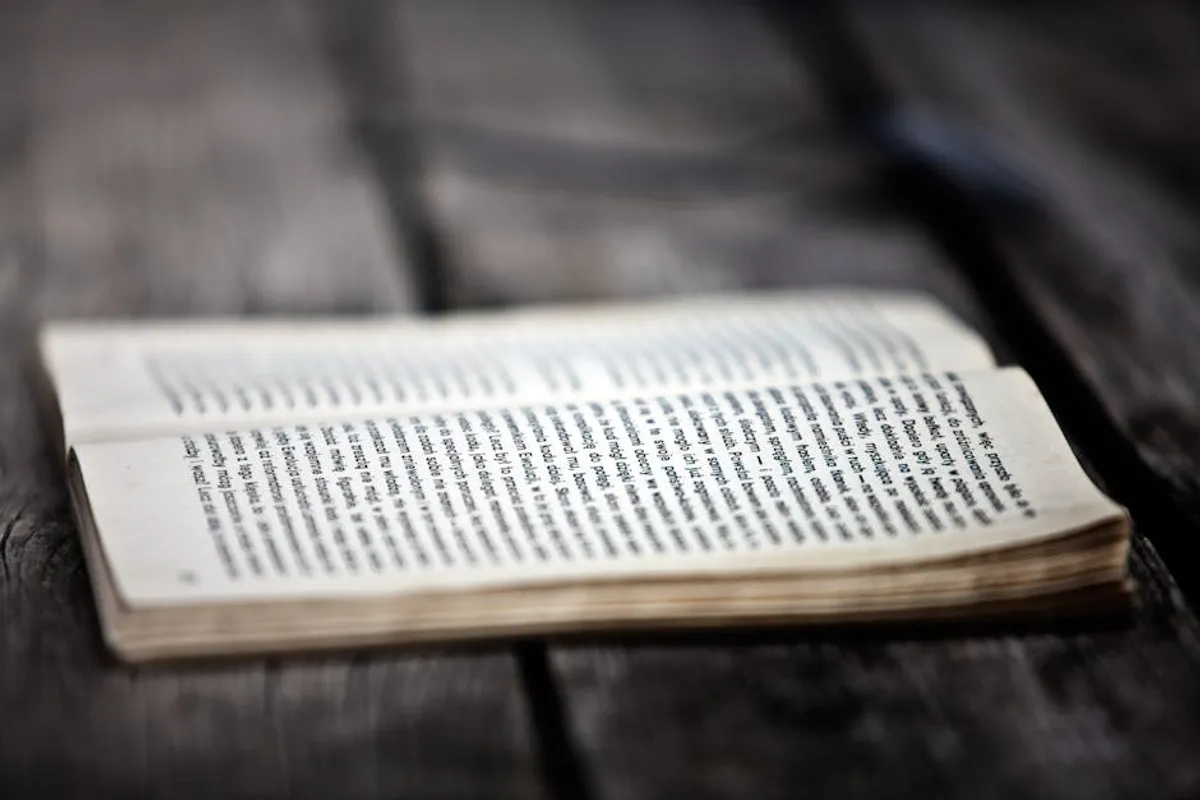 Literary Themes Explained: Love, Loss, Memory, and Identity